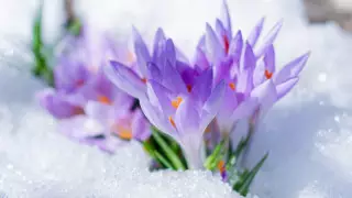 Қазақстанда алдағы үш күнде ауа райы қандай болады?