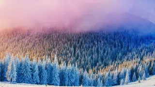 Қазақстанда ақпанда ауа райы қандай болады?