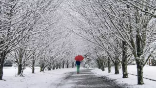 Алдағы үш күнге арналған ауа райы болжамы