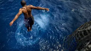 Туристер толы жағажайда акула ер адамға шабуыл жасады