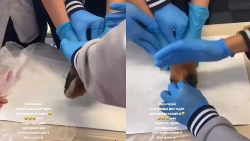 видео кадры