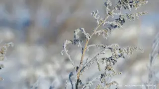 24 ақпанға арналған ауа райы болжамы