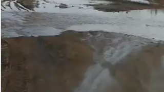 Қонаев іргесіндегі ауылды су басты