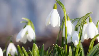 Қазақстанда алдағы демалыс күндері ауа райы қандай болады?