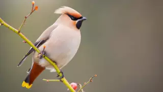 7 наурызға арналған ауа райы болжамы