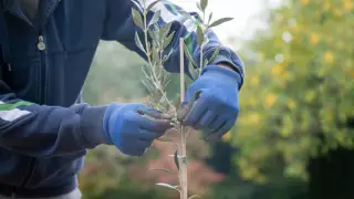 "Астана-Зеленстрой" директоры пара алғаны үшін 185 миллион теңге төлейтін болды