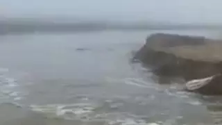 БҚО-да дамба бұзылды: тұрғындар эвакуацияланды