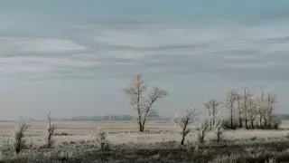 Жауын-шашын мен дауыл: 14 наурызға арналған ауа райы болжамы