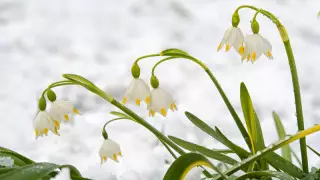 Шаңды дауыл, тұман, жаңбыр: 15 наурызда ауа райы қандай болады?