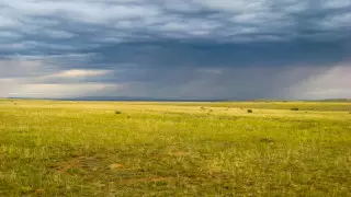 Қазақстан қалаларында жер комиссиялары таратылады