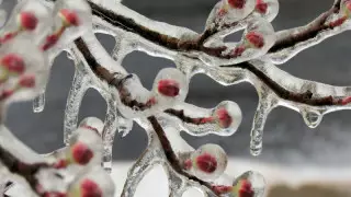 Жауын-шашын, бұрқасын. 16 наурызға арналған ауа райы болжамы