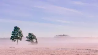 Бүгін ауа райы қандай болады?