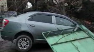 видео кадры