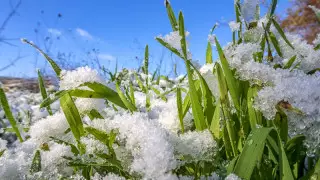 "Қазгидромет" алдағы бір аптада ауа райы қандай болатынын болжады