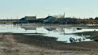 Қазақстанның екі облысында су тасқыны қаупі ескертілді