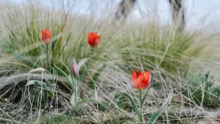 26 градус ыстық және жаңбыр: демалыс күндері ауа райы қандай болады?