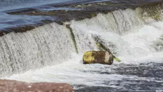 Синоптиктер Қазақстанның төрт облысы тұрғындарына ескерту жасады