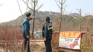 Оңтүстік Корея шекарасынан заңсыз өтпек болған екінші қазақстандық өз еркімен берілді