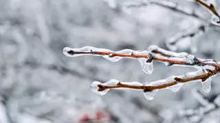 Алдағы күндері ауа райы қандай болады?