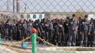 Алматы облысында колонияда интернет-алаяқтықпен айналысқан адам анықталды