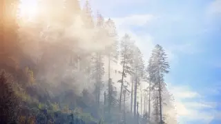 Жаңбыр, үсік және тұман: 4 сәуірде ауа райы қандай болады?