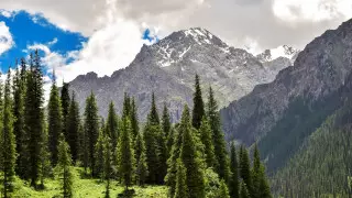 Қазақстанда ішкі туристер саны бойынша рекорд тіркелді