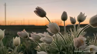 Найзағай, жаңбыр, жел: 5 сәуірде ауа райы қандай болады?