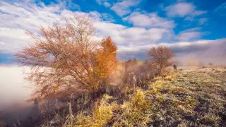 Еліміздің бірнеше өңірінде ауа райына байланысты ескерту жасалды