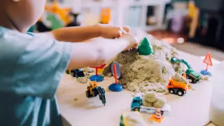 Алматы облысының тұрғыны екі жасар сәбиінің өліміне күтушіні кінәлады