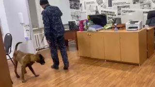 Оралда ер адам өзін "шаһид" деп таныстырып, ғимаратта "бомба" барын айтқан