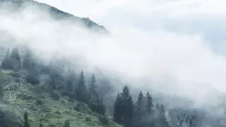 Демалыс күндері ауа райы қандай болады?