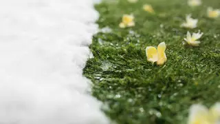 Алдағы үш күнге арналған ауа райы болжамы