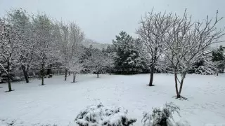 Сәуірде жауған қар алматылықтарды таңғалдырды: тұрғындар суреттерін бөлісті