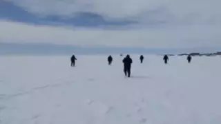 Павлодар облысында жоғалған әйел өлі табылды