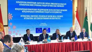 Бас прокурор Қазақстандағы азаптаулар туралы: жыл басынан бері 220 іс