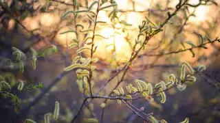 Жел, найзағай. 21 сәуірге арналған ауа райы болжамы