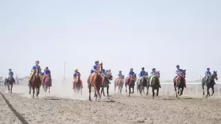 Қызылорда облысында бәйгеден ел чемпионаты өтті