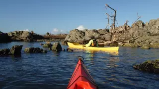 Шотландияда 10 гектарға созылған арал сатылады