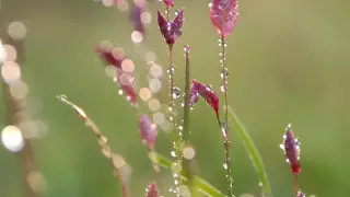 Қазақстанда күн суытады