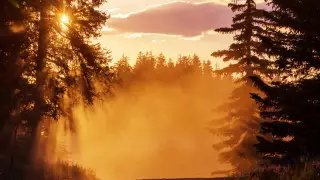 Қазақстанның жеті қаласында ауаның ластану деңгейі жоғары болады