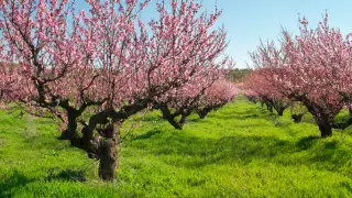 Қазақстандағы 27 сәуірге арналған ауа райы болжамы