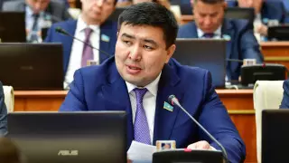 Мәжіліс депутаты: елдің ең басты проблемасы - азық-түлік бағасының шарықтауы