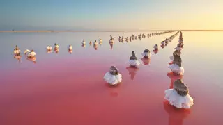 Қызыл теңіздің суы туристердің зәресін алды