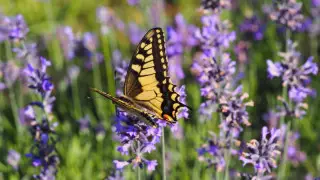 Қазақстанда 12 мамырда ауа райы қандай болады?