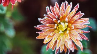 16 мамырға арналған ауа райы болжамы