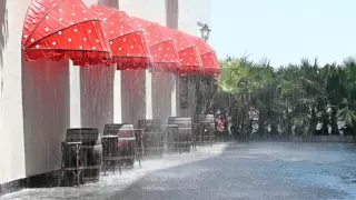 Дубайда үнемі жаңбыр жауып тұратын көше пайда болды - видео