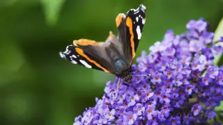 Жел, найзағай: 17 мамырға арналған ауа райы болжамы