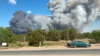 Ресейден шыққан ірі өрт Абай облысына таралып, бірнеше аумақты шарпыды