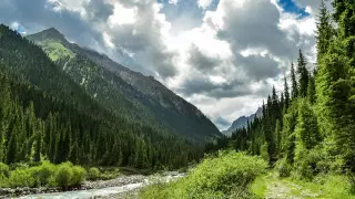 Министр Қазақстанның ішкі туризімінде қандай өзгерістер болатынын айтты