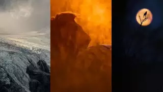 Траннидің үлкен пландағы фотосы